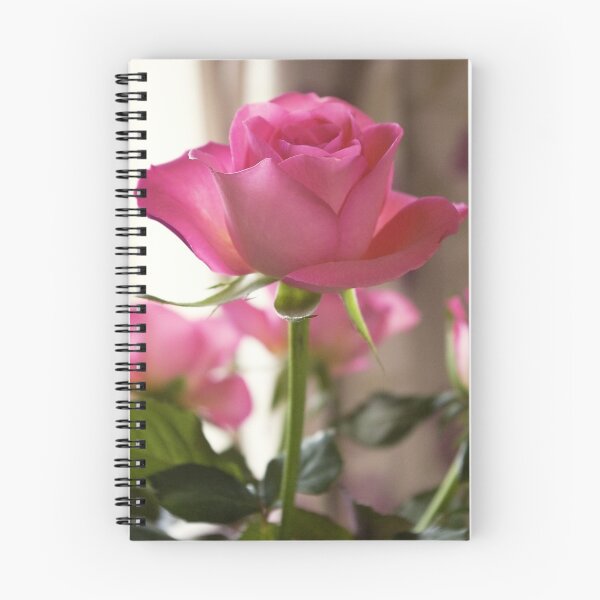 Item preview, In the pink designed and sold by Steve plowman.