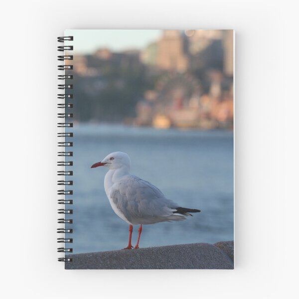 Aperçu de l'œuvre Seagull on harbour créée et vendue par Rick Fin.