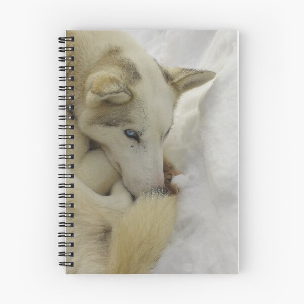Item preview, resting husky designed and sold by Christian Burton.