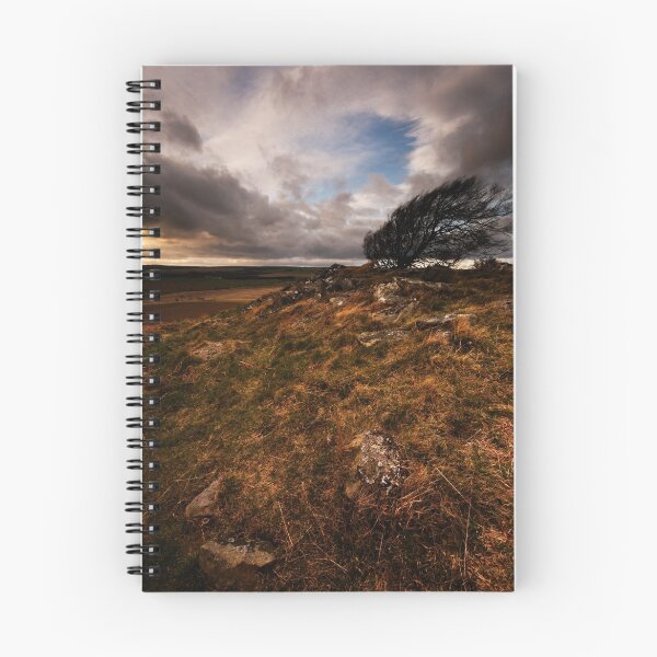 Item preview, WINDSWEPT designed and sold by STEVE  BOOTE.
