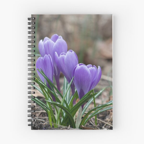 Item preview, crocus clump designed and sold by jude walton.