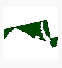 Forest Green Maryland Photographic Print