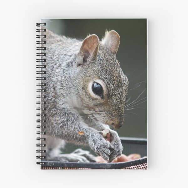 Item preview, Squirrel designed and sold by AnnDixon.