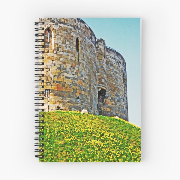 Aperçu de l'œuvre Castle créée et vendue par SolidImages.