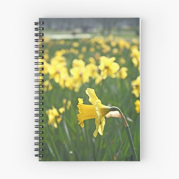 Item preview, Fields of gold designed and sold by Jeanne Horak-Druiff.
