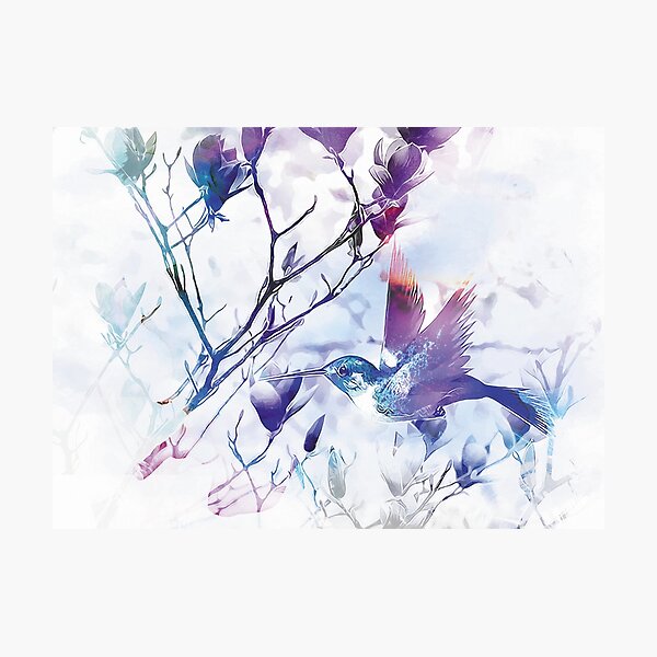 Hummingbird Photographic Print