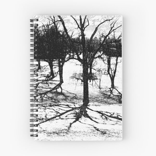 Item preview.