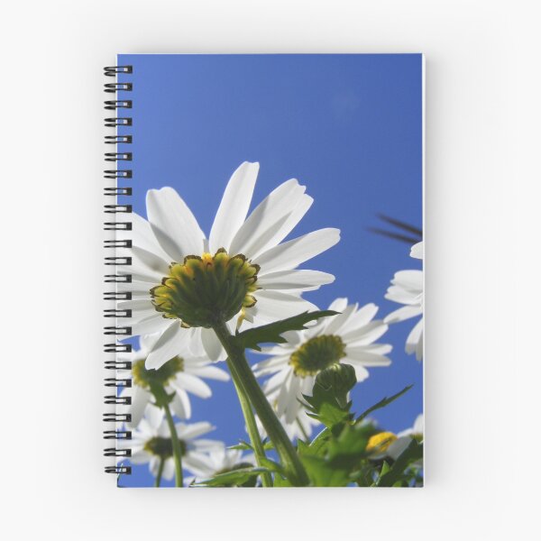 Item preview, Lookin Up Through Daisies designed and sold by Nancy Chambers.