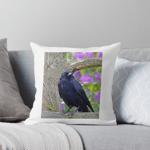 Item preview, Beady Eye designed and sold by John Thurgood.