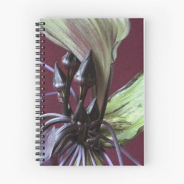 Item preview, white bat flower {tacca} designed and sold by picketty.