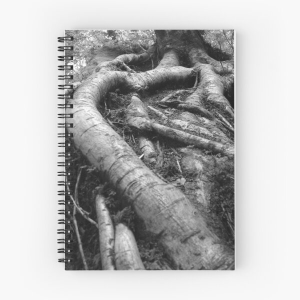 Item preview, Roots designed and sold by Kaat.