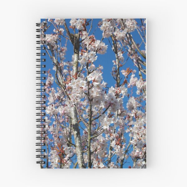 Aperçu de l'œuvre Spring Blossom créée et vendue par funkybunch.