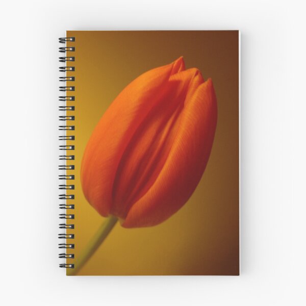 Item preview, Soft focus designed and sold by ClareLH.