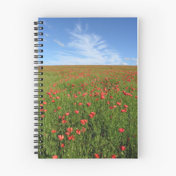 Item preview, Wild red poppies on mid-Hampshire Downs, southern England designed and sold by Philip Mitchell.