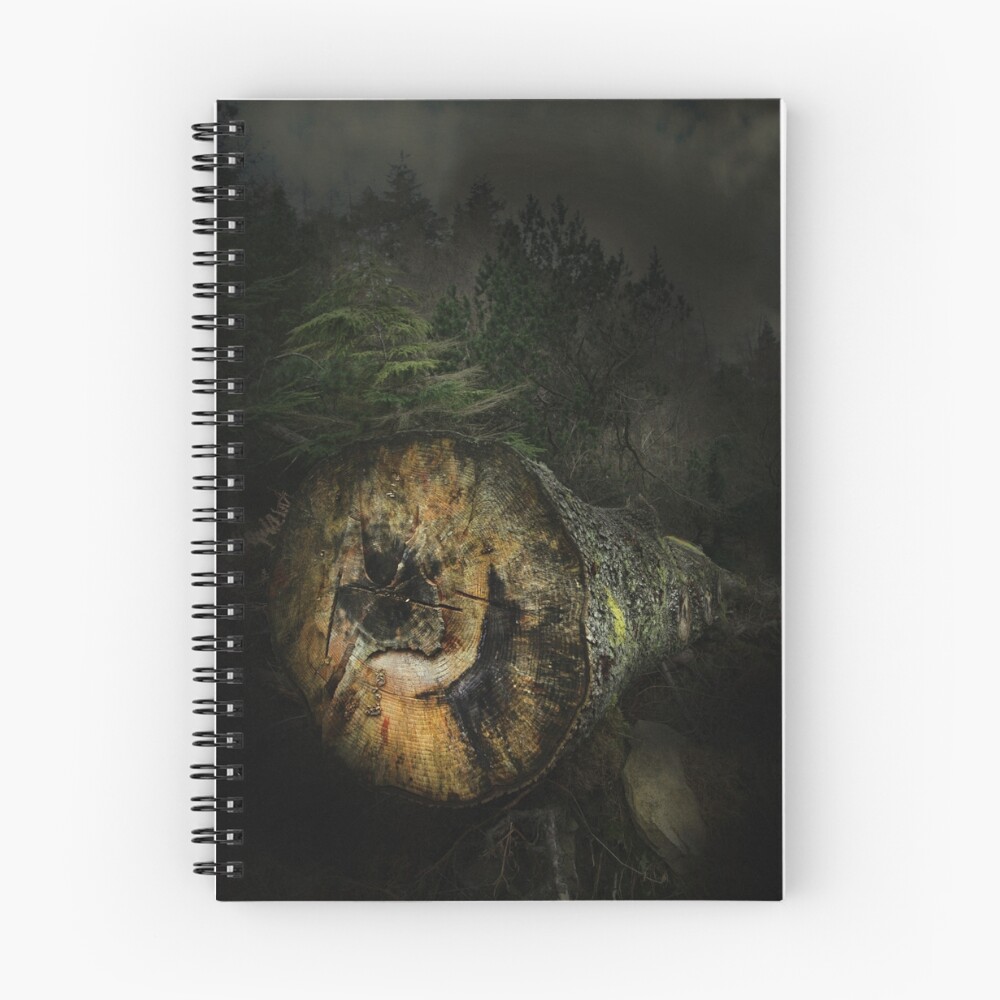 Item preview, Spiral Notebook designed and sold by robbos.