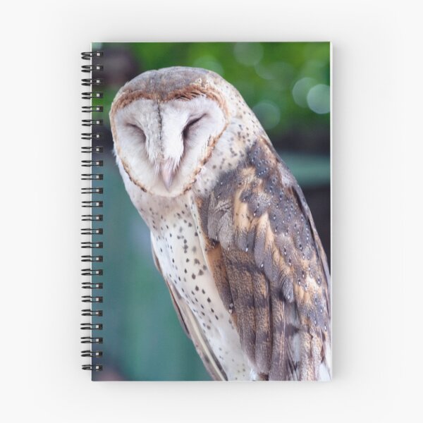 Item preview, Malaysian Owl designed and sold by MiImages.