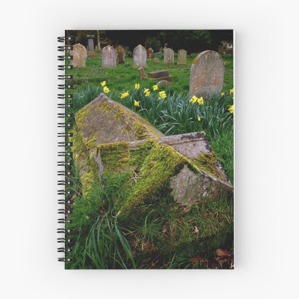 Item preview, Life and Death in Kirby Le Soke designed and sold by J Cole.