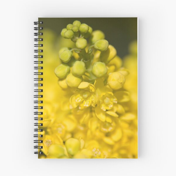 Item preview, Mahonia designed and sold by Neil Bygrave (NATURELENS).