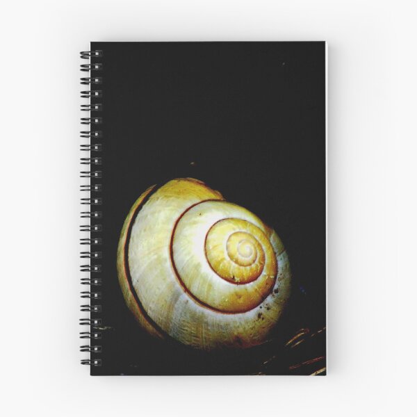 Item preview, Shell. designed and sold by Paul Rees-Jones.