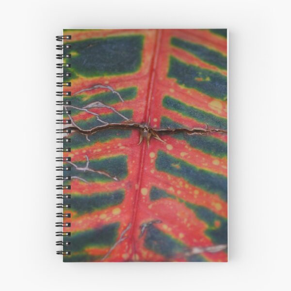 Item preview, Stripes designed and sold by Jonathan Bartlett.
