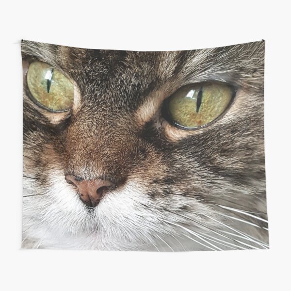 Maine Coon Tapestry