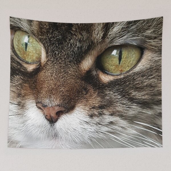 Item preview, Maine Coon designed and sold by Cynthia  Soucy.