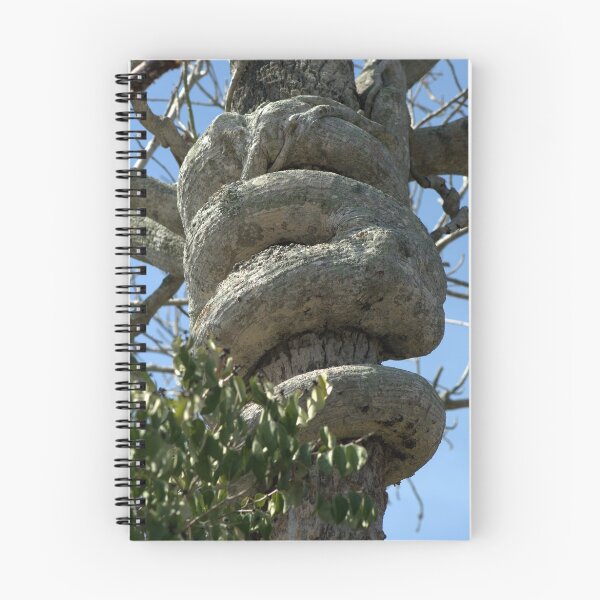 Item preview, Strangler Fig Tree Natural Art designed and sold by Virginia N. Fred.