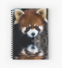 Cuaderno de espiral Early Morning Drink