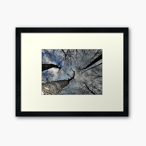 From the Ground UP Framed Art Print