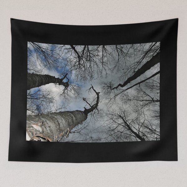 Item preview, From the Ground UP designed and sold by Len Bomba.