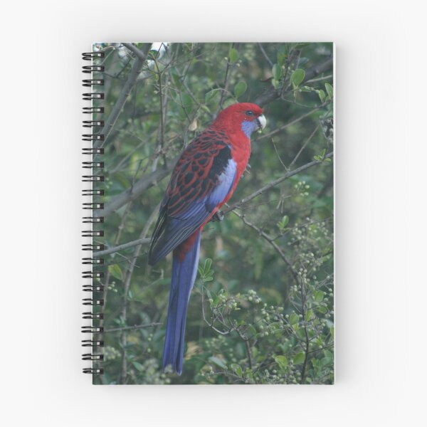 Item preview, Royal Rosella designed and sold by Kellea Croft.