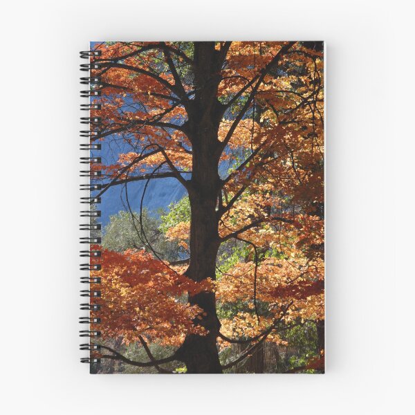 Item preview, sugar maple, yosemite designed and sold by karen peacock.