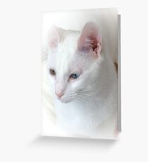 jules Greeting Card