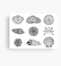 Found Objects Metal Print