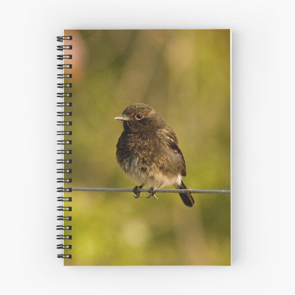 Item preview, Stonechat designed and sold by Varun Chopra.