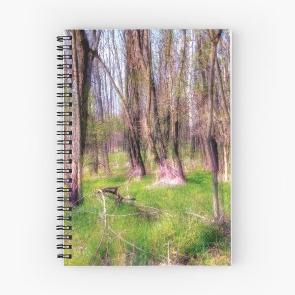 Item preview, The Enchanted Forrest designed and sold by pmn-photography.