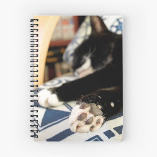 Artikelvorschau, Kissy Paws entworfen und verkauft von J Cole.