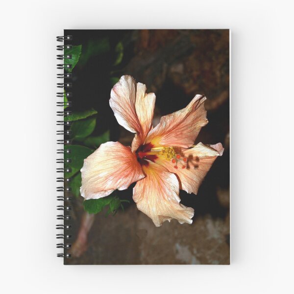 Item preview, Peach hibiscus in the wind designed and sold by B. Randi Bailey.