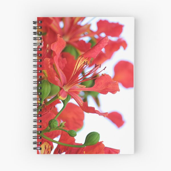Item preview, Poinciana designed and sold by picketty.