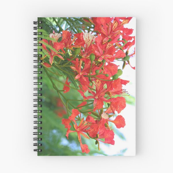 Item preview, poinciana spray designed and sold by picketty.