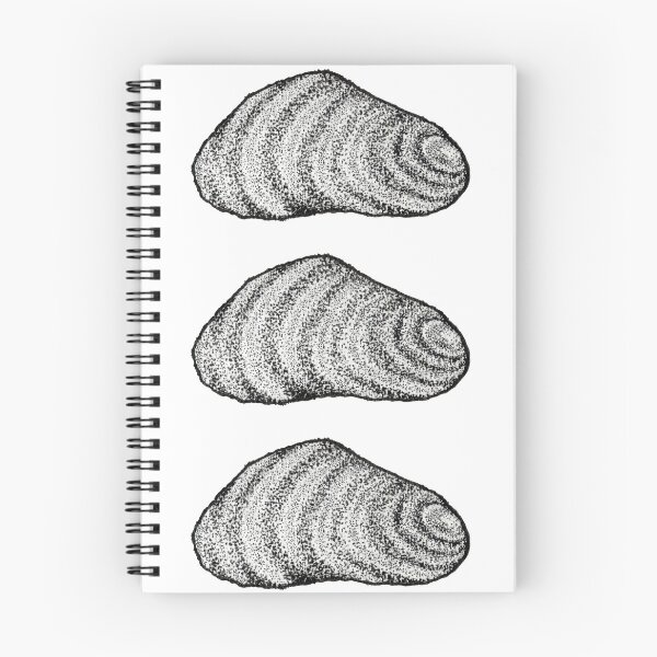 Item preview, Mussel Shell designed and sold by katgalletta.