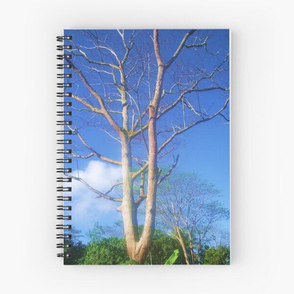 Item preview, When you look up designed and sold by dreamweaver1.
