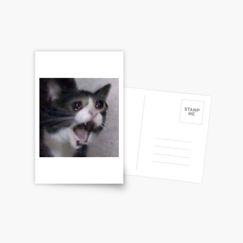 Carte De Vœux Chat Triste Qui Pleure Par Agentcake Redbubble