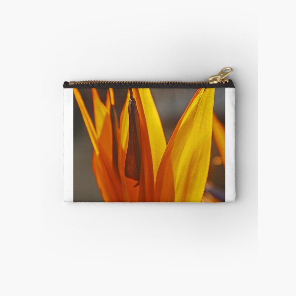 Item preview, Byrd designed and sold by Chet  King.