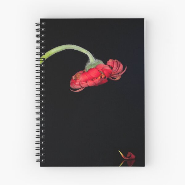 Artikelvorschau, Red Gerbera's Loss entworfen und verkauft von Michael Fotheringham Portraits.