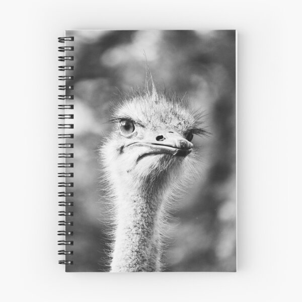 Artikelvorschau, Here's looking at you entworfen und verkauft von Deidre Cripwell.