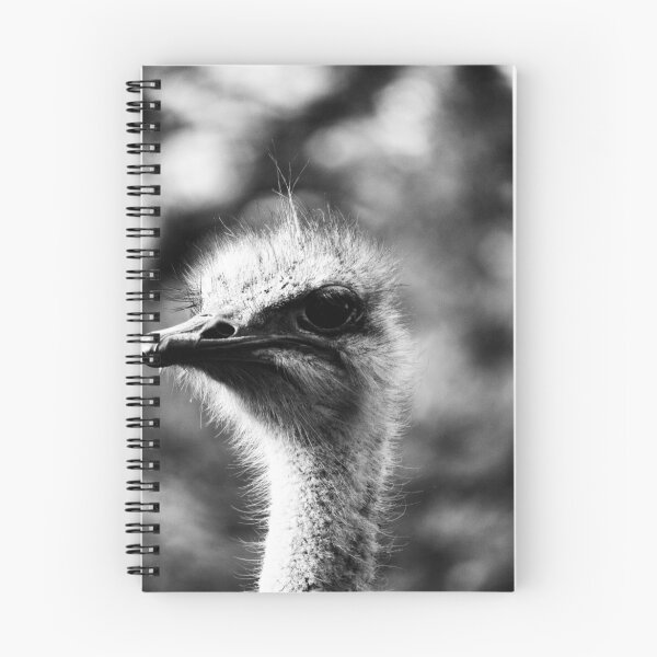 Item preview, For the birds designed and sold by Deidre Cripwell.