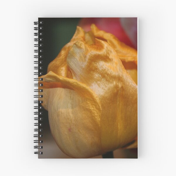 Item preview, Lovely designed and sold by Antanas.