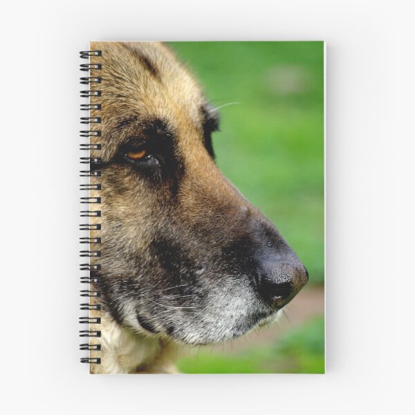 Item preview, The Stray designed and sold by Tamara  Kenneally.