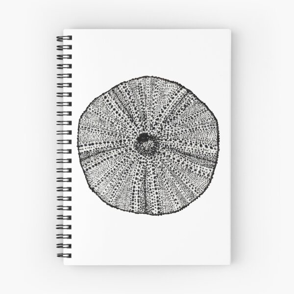 Item preview, Sea Urchin Shell designed and sold by katgalletta.